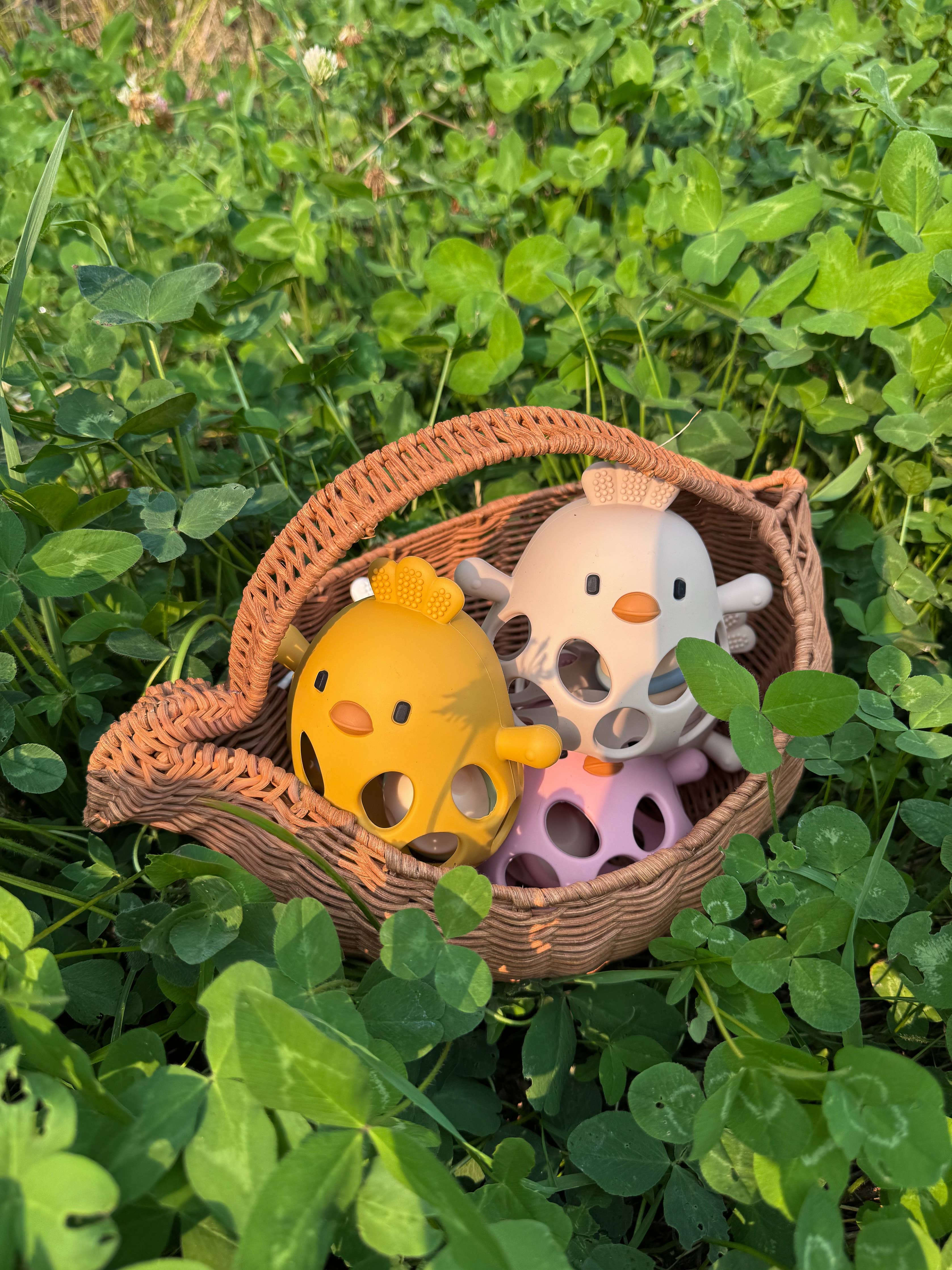 New Clucky Chew Buddy