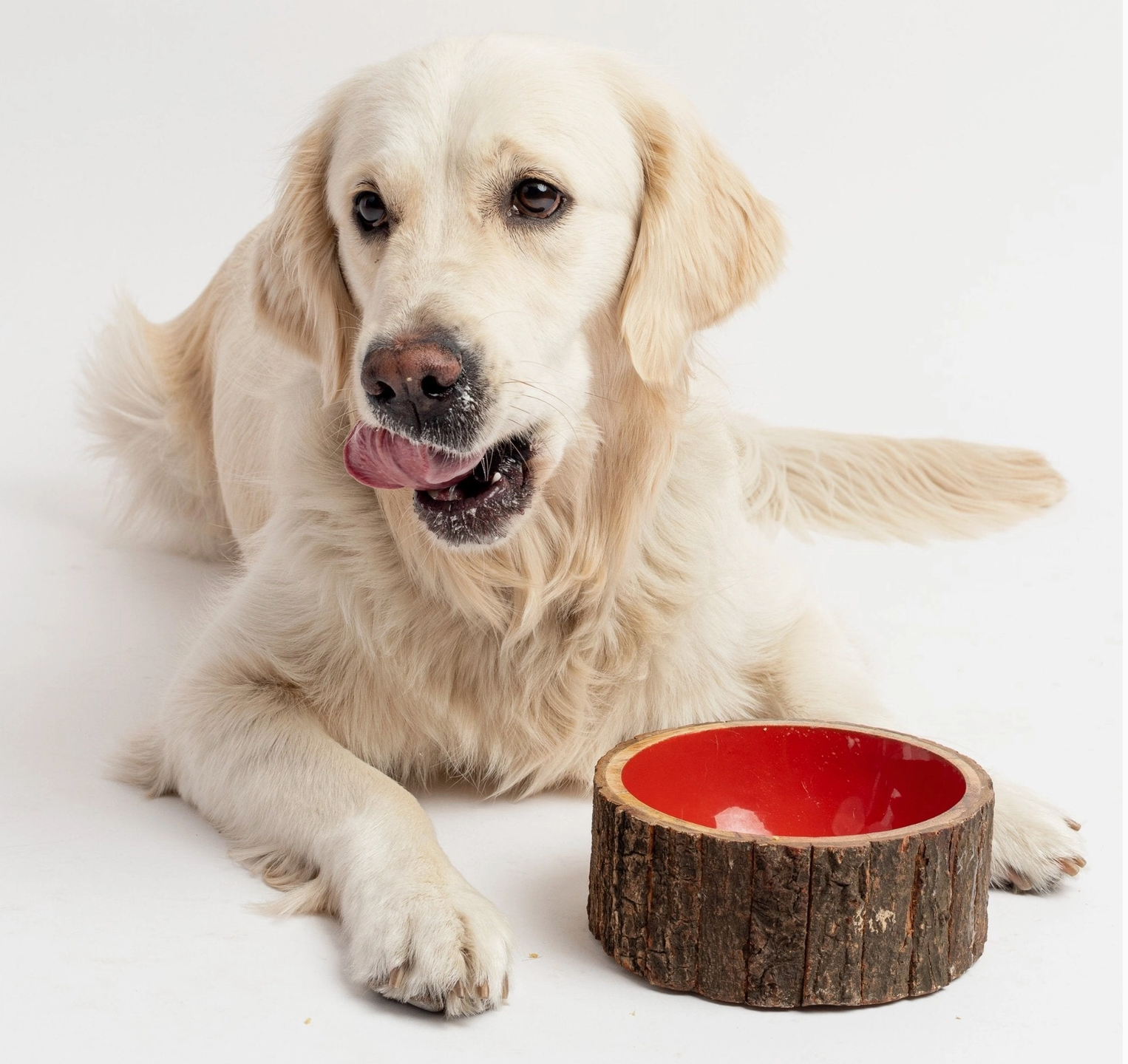 Farmhouse Wood Dog Bowl