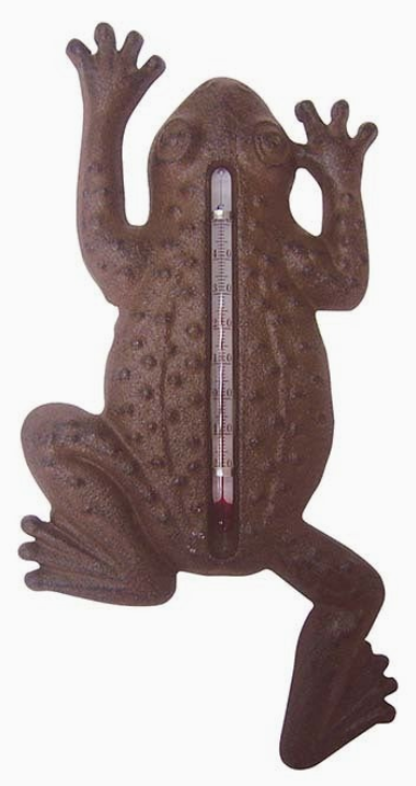 Frog Thermometer