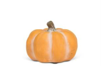 Sm Matte Low Pumpkin