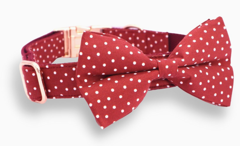 Dog Bowtie