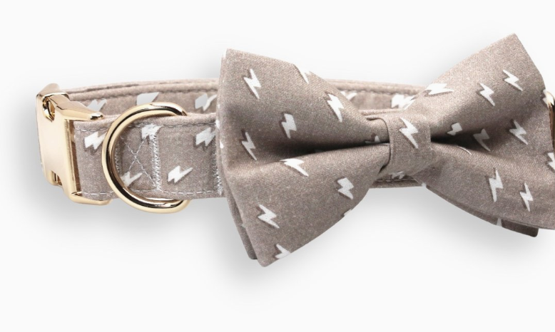 Dog Bowtie