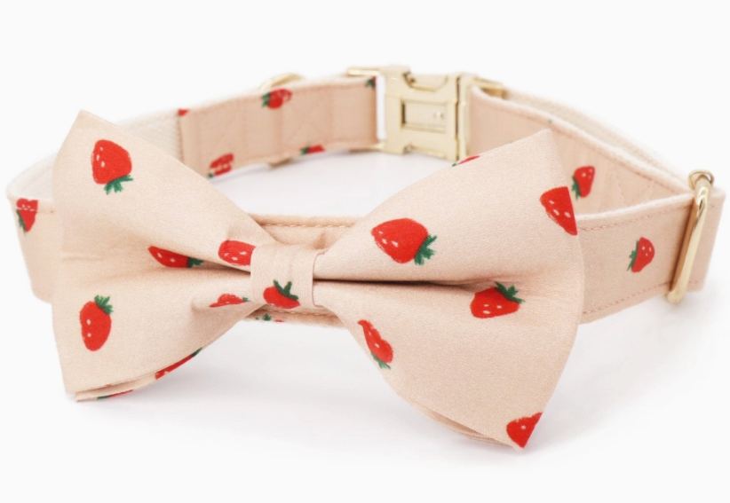 Dog Bowtie