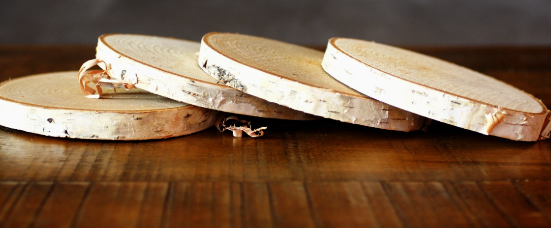 Birch Coasters