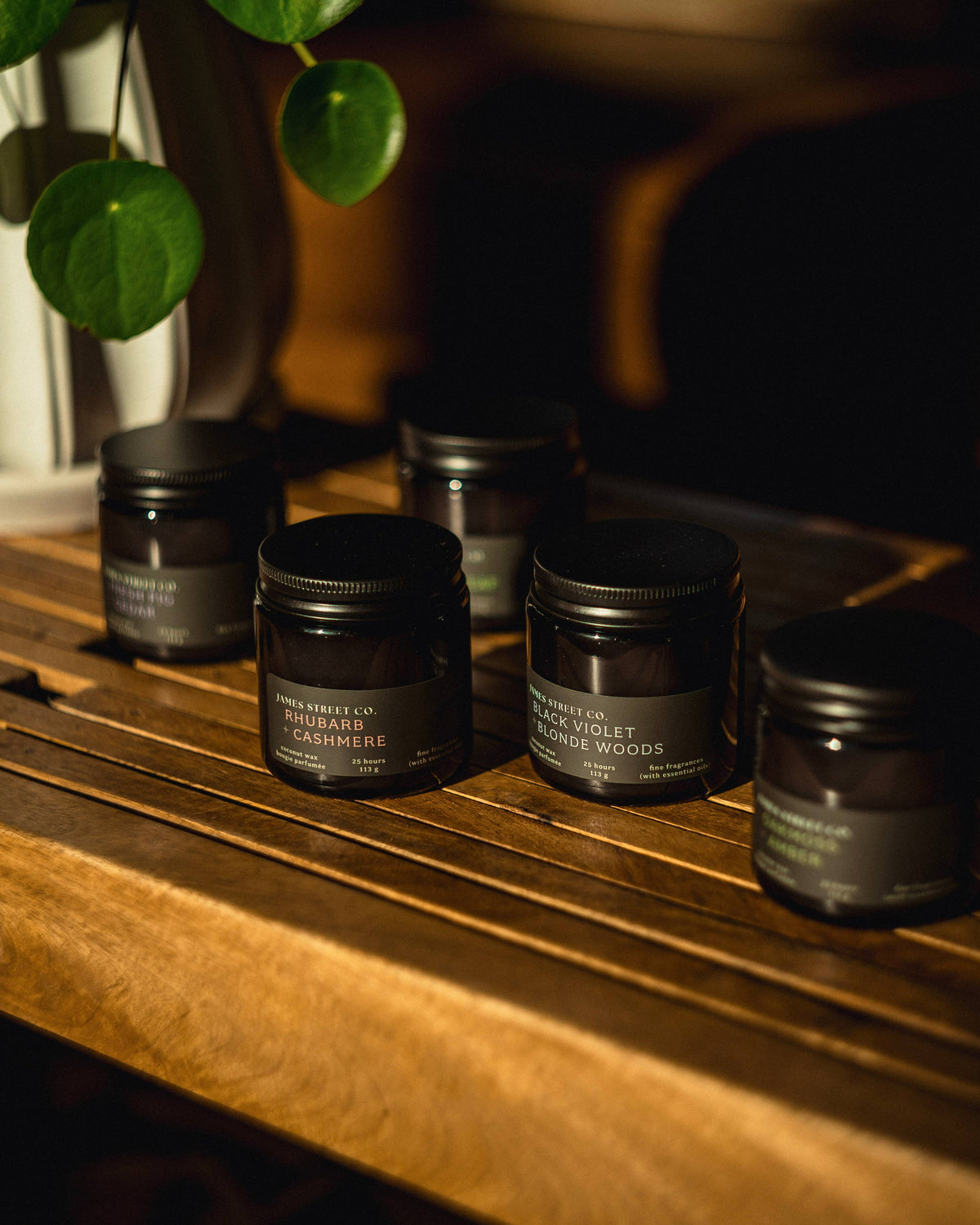 Rhubarb + Cashmere - Coconut Wax 4oz or 8oz Candle | Fresh Fruit Creamy