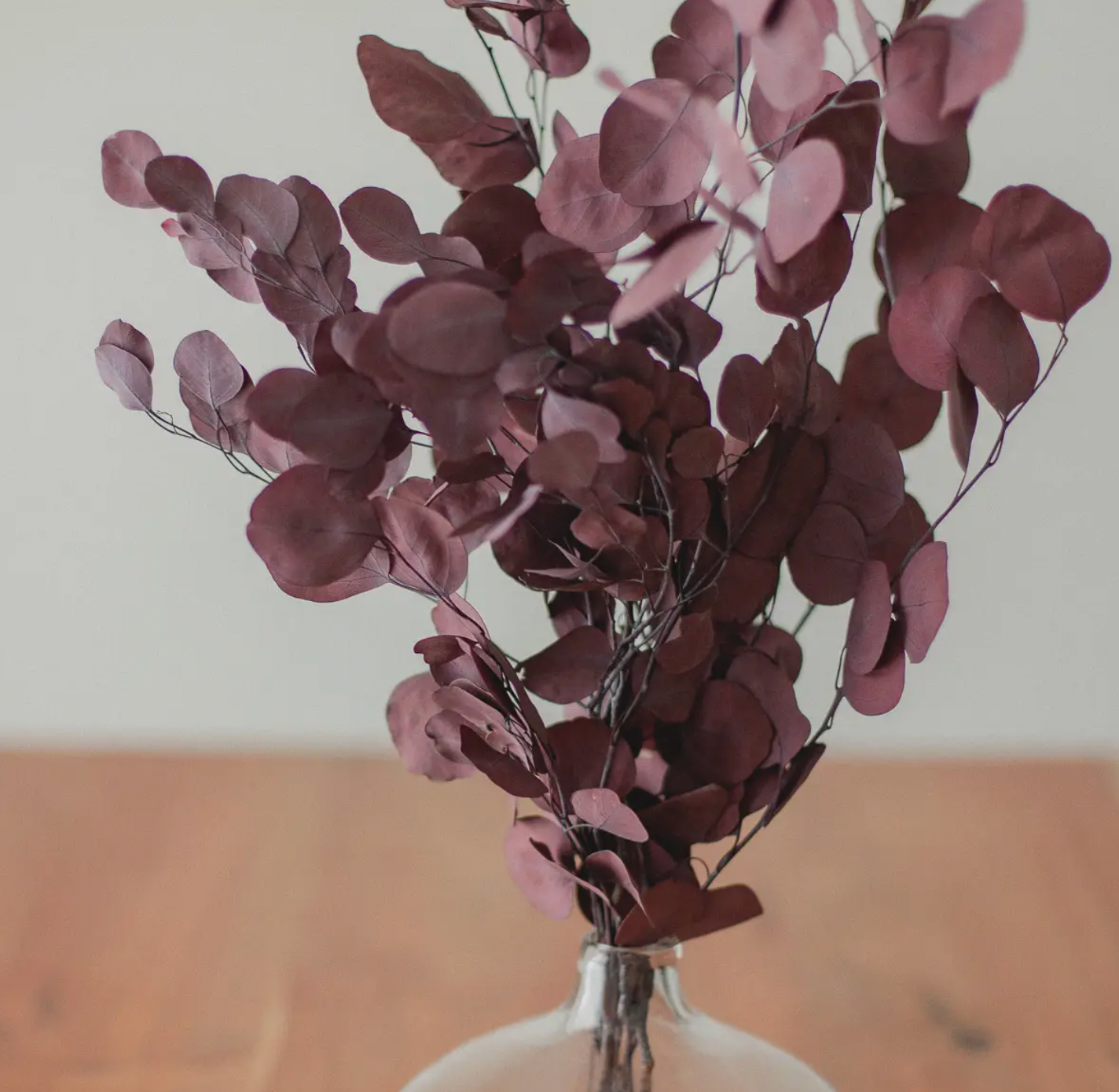 Deep Red Eucalyptus Bundle (Preserved Silver Dollar Style)