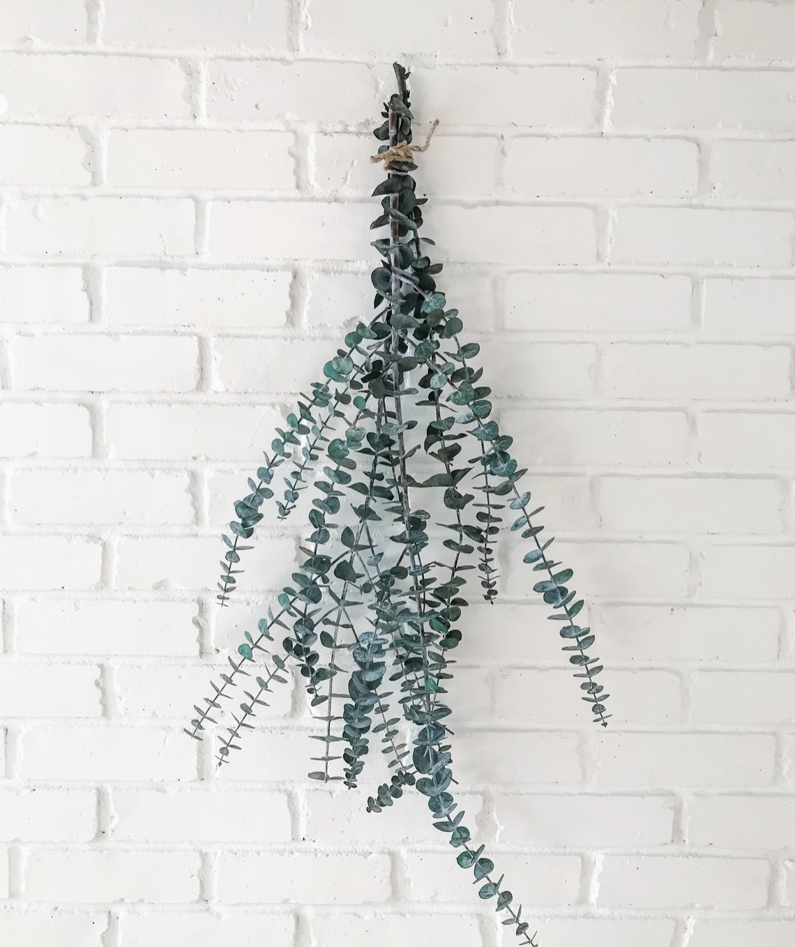 Eucalyptus Shower Bundle