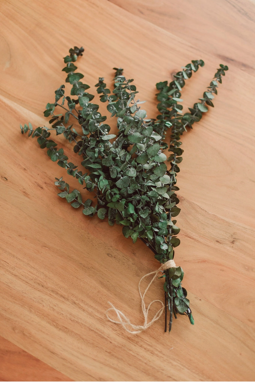 Eucalyptus Shower Bundle