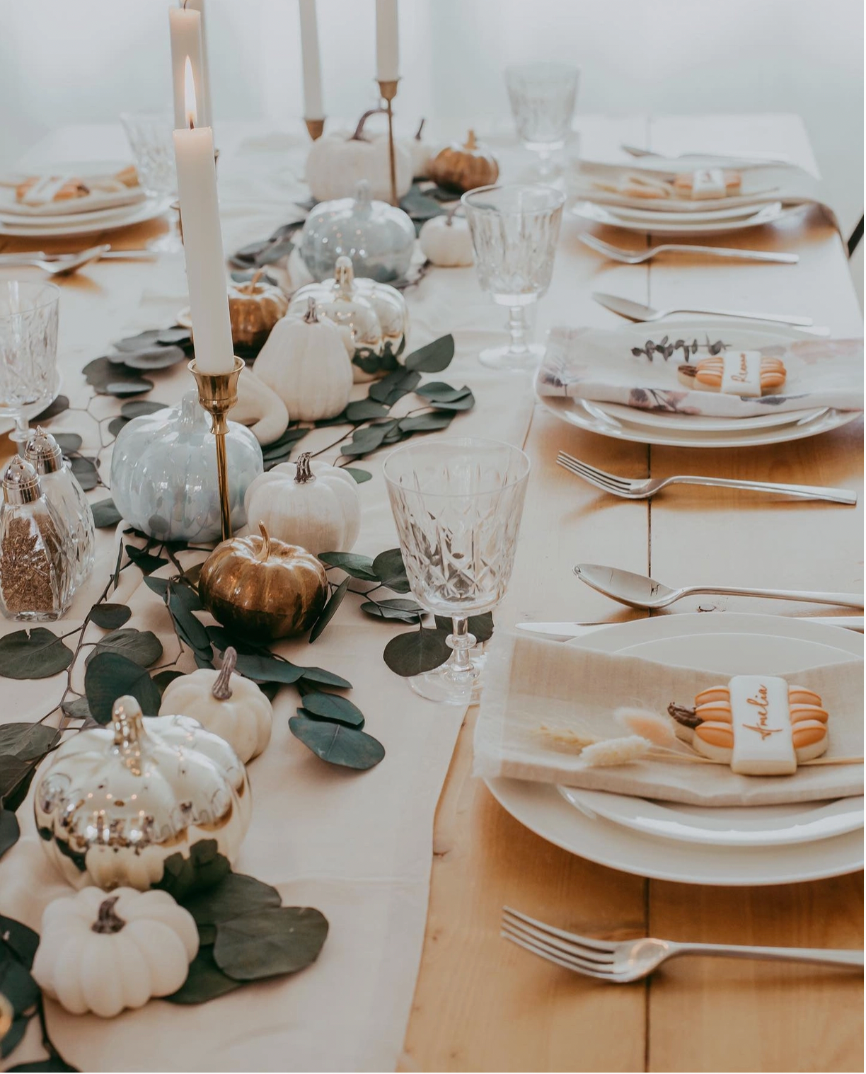 Green Silver Dollar Eucalyptus Bundle