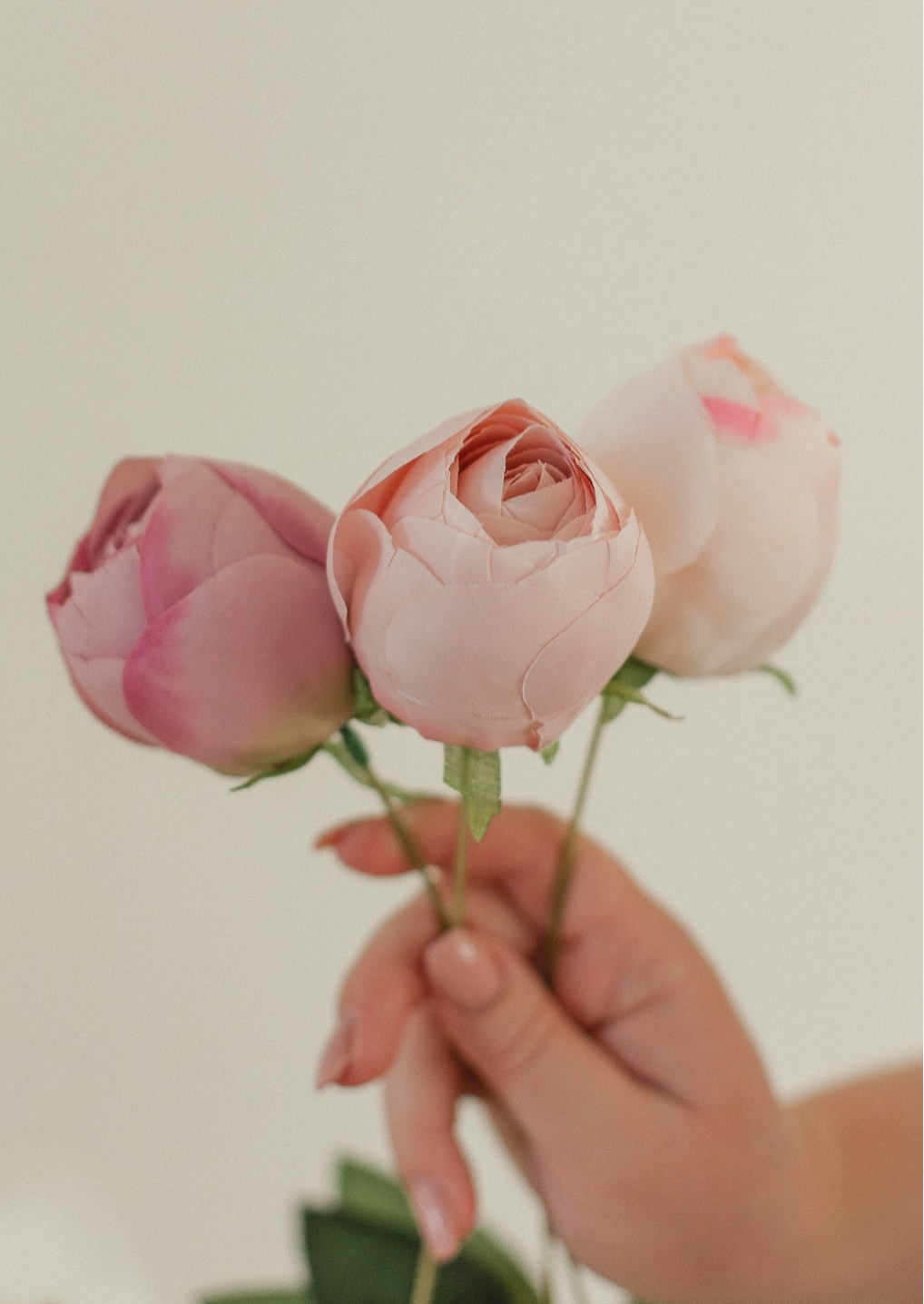 Perfect Peony Bundle