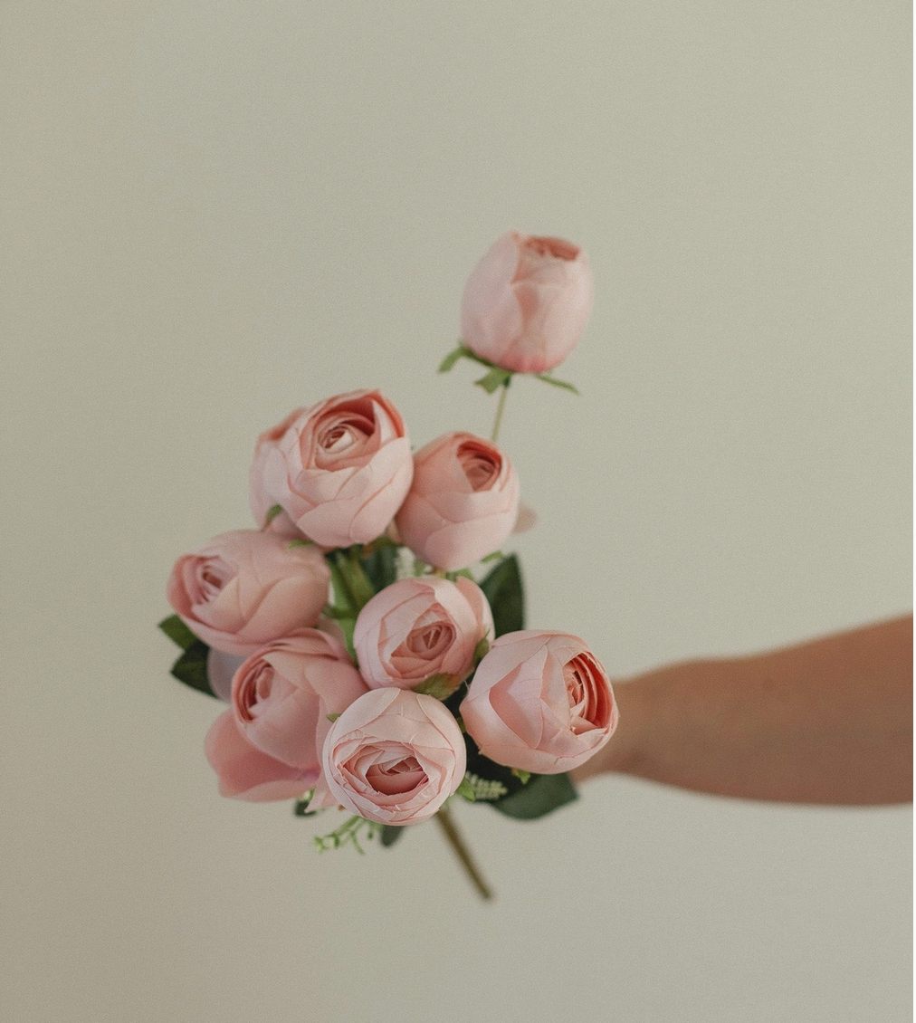 Perfect Peony Bundle