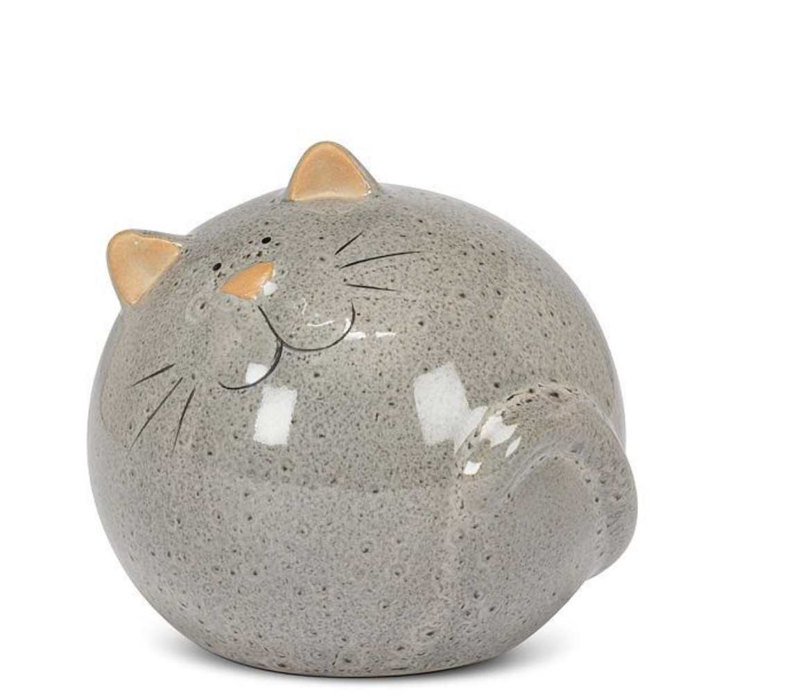 Small Round Cat