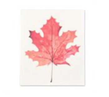 Simple Maple Leaf Swedish Dishcloth