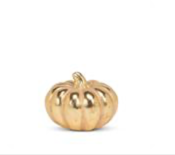 XS Golden Classic Pumpkin