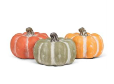 XS Matte Low Pumpkin