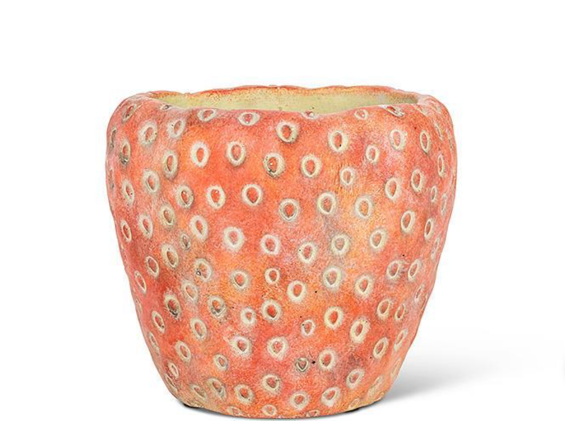 Small Strawberry Planter