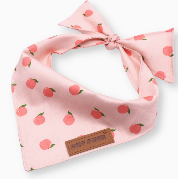 Dog Bandana
